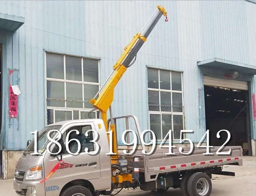 天河区车载吊机220v移动吊机家用车移动起重机可拆卸包安装小型车载吊机